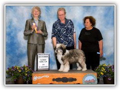 Best of Breed at very first show.  WooHoo!
